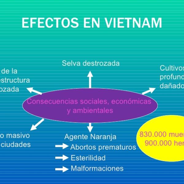 Consecuencias de la Guerra de Vietnam: Un Resumen Impactante