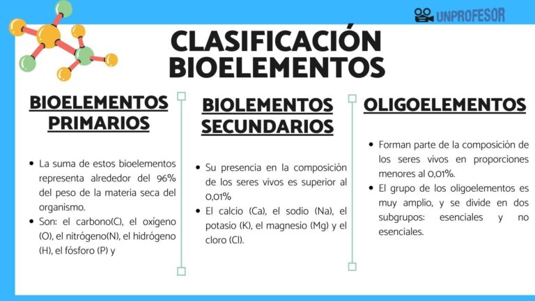 Descubre la importancia de la clasificación de bioelementos