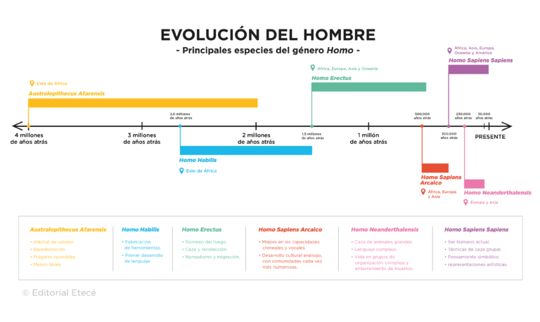 Descubre las Características Clave de Homo Sapiens: ¡La Evolución de la Humanidad!