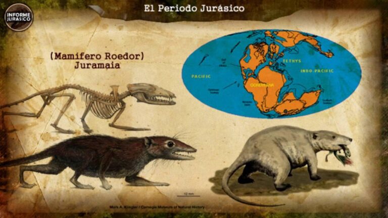 Descubre los 10 dinosaurios más fascinantes del Jurásico