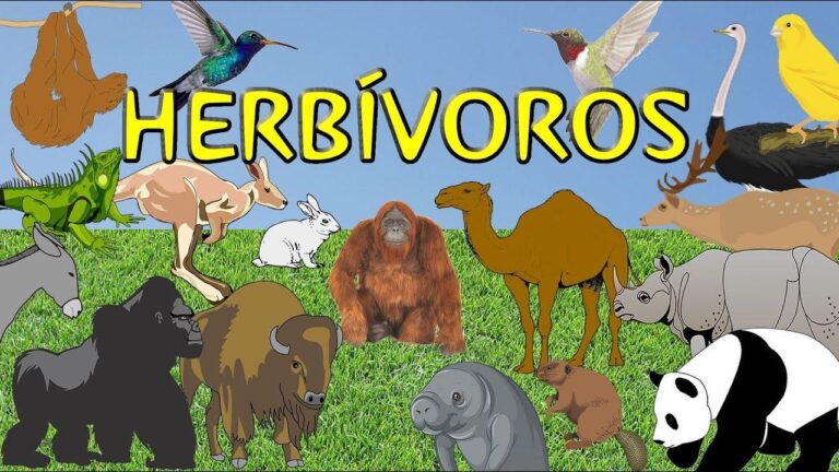 Descubre los animales herbívoros: Ejemplos y Características