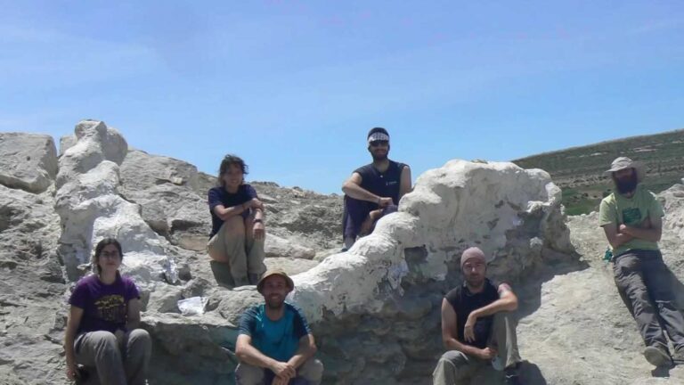 Descubrimiento arqueológico en Teruel: la columna vertebral de un dinosaurio