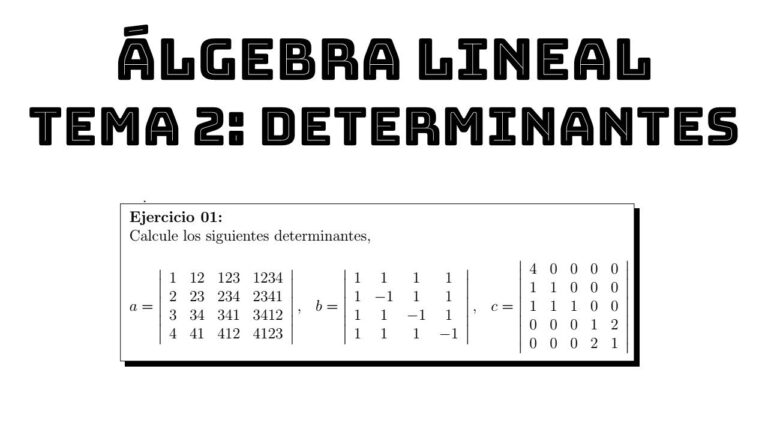 Determinante en Algebra Lineal: Guía Completa