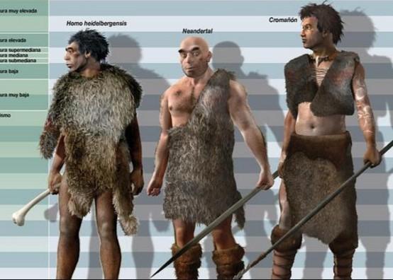 Diferencias Cromañón Vs Neandertal: ¡Descubre las claves de nuestra evolución!