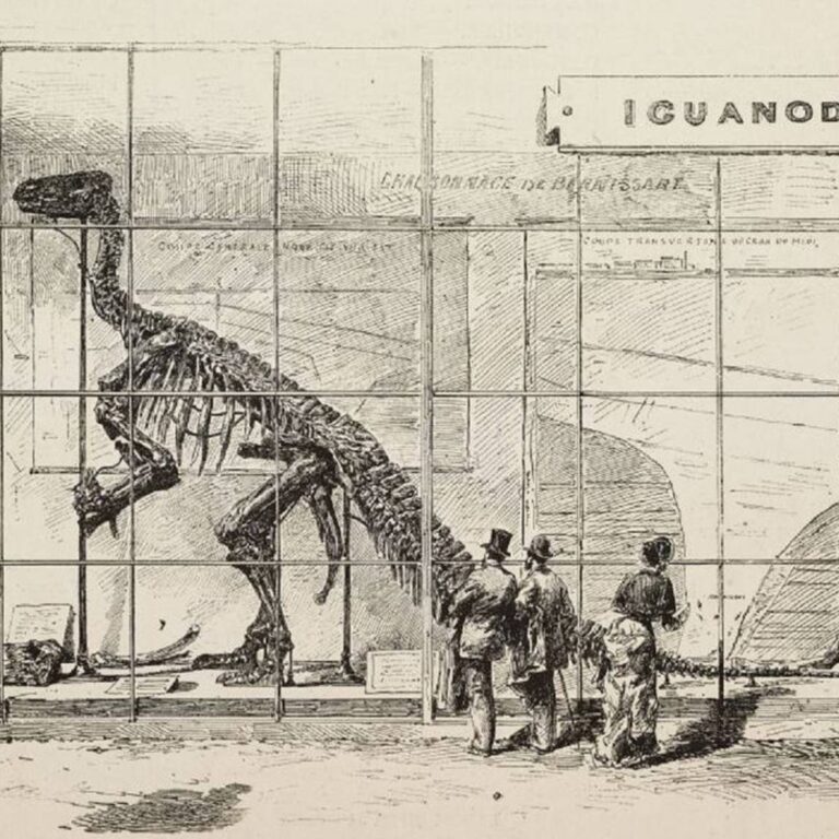 Dinosaurio hallado por primera vez en la historia