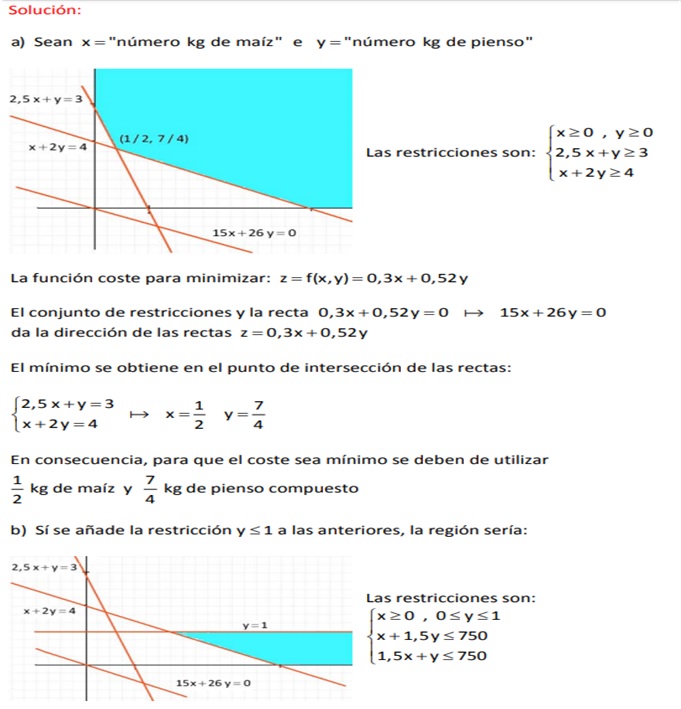 Domina la programación lineal con Algebra Lineal en Matemáticas PL