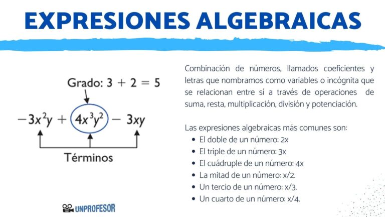 Domina los polinomios y expresiones algebraicas con estos consejos de matemáticas