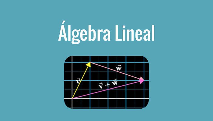 Domina el álgebra lineal: aprende a resolver ecuaciones y sistemas complejos
