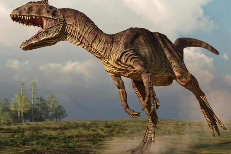 El Allosaurus: El superdepredador intrigante de la era de los dinosaurios