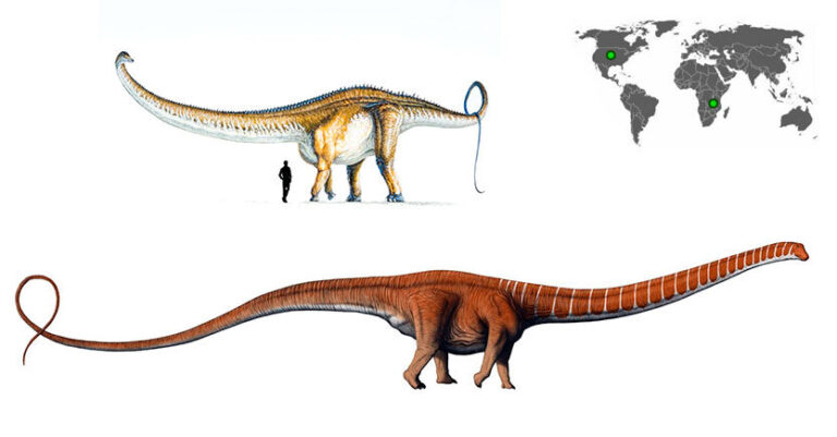 El Barosaurus: Un gigante herbívoro de la era prehistórica