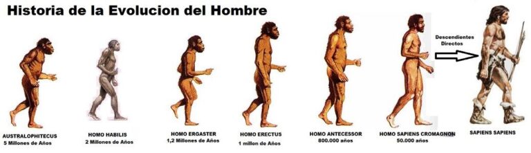 El Homo antecessor: El eslabón perdido de la evolución humana