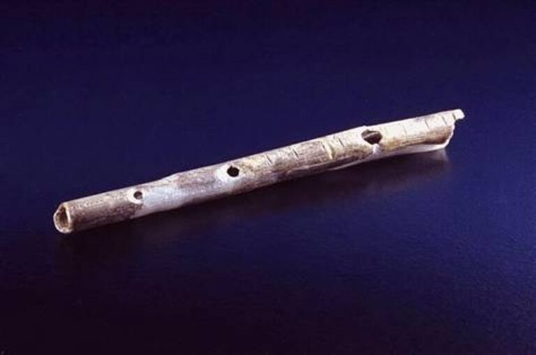 El instrumento musical más antiguo de Europa: una ventana al pasado
