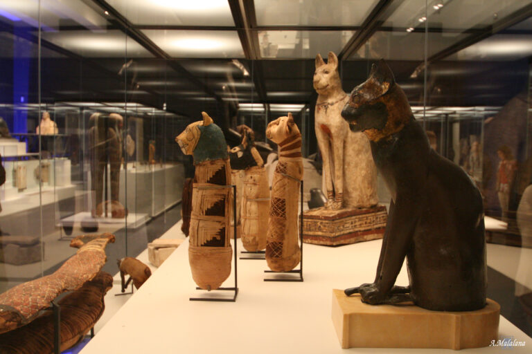 Exposición CaixaForum Egipto: Animales y Faraones en el Antiguo Egipto