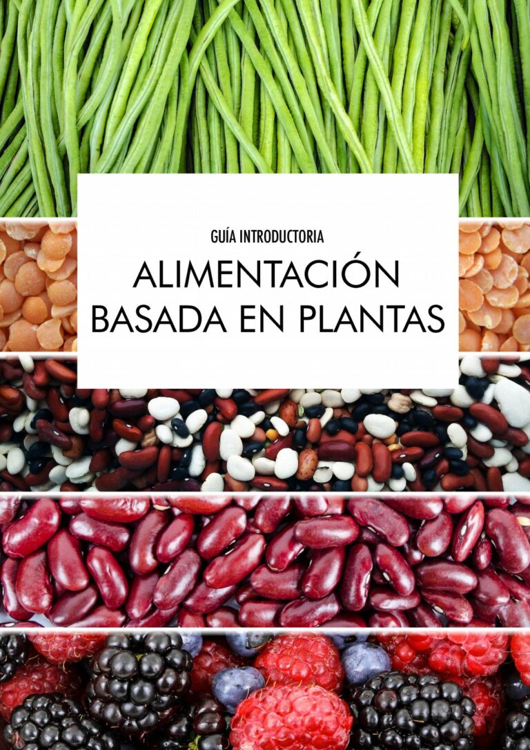 Guía completa: Cómo alimentar a tus plantas de manera efectiva