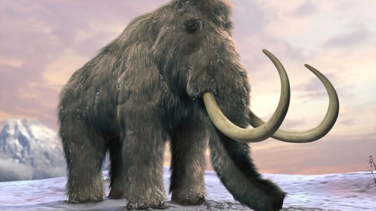 La triste historia de la extinción de los majestuosos mamuts