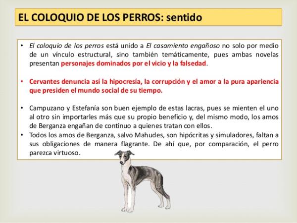 Resumen corto del Coloquio de los Perros: Una historia canina inolvidable