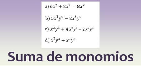 Suma de Monomios: La Definición Esencial en Álgebra