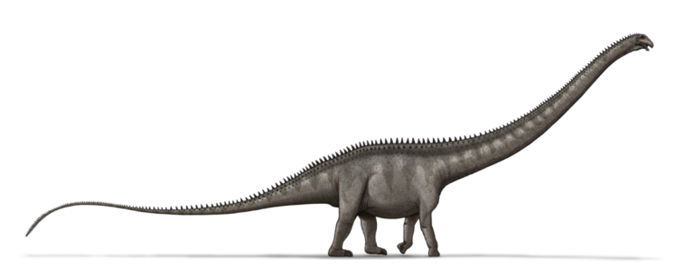 Supersaurus: El gigante del Jurásico